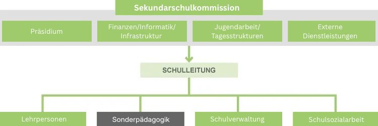 Sonderpädagogik